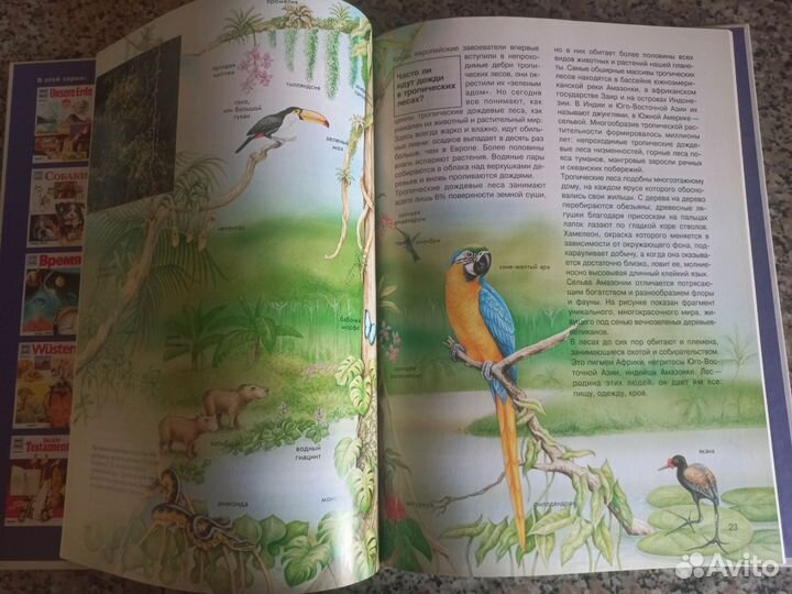 Детская энциклопедия 