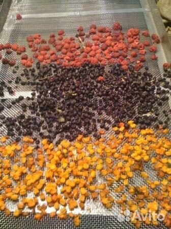 Вакуумная сушильная камера для продуктов питания