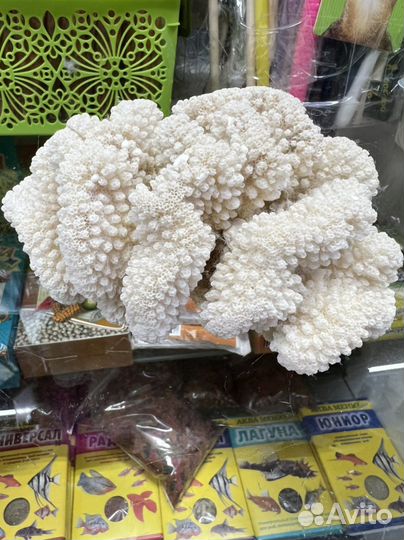 Украшения для аквариумов