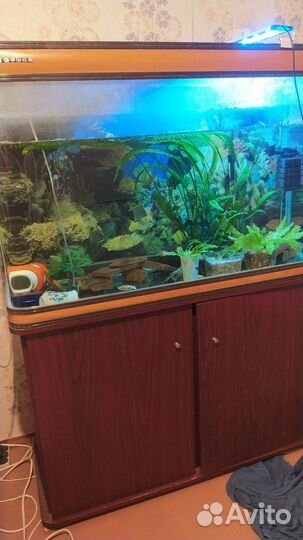 Помпа атман 201, аквариум 240 л