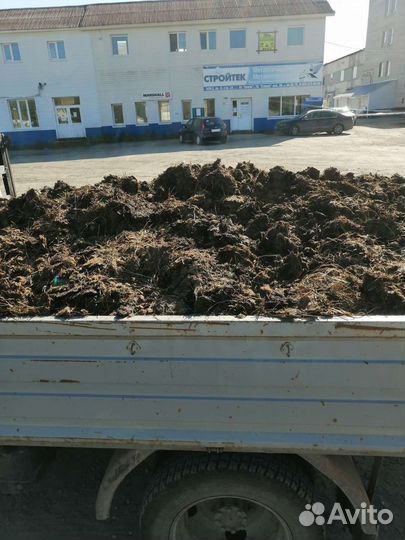 Конский навоз, перегной