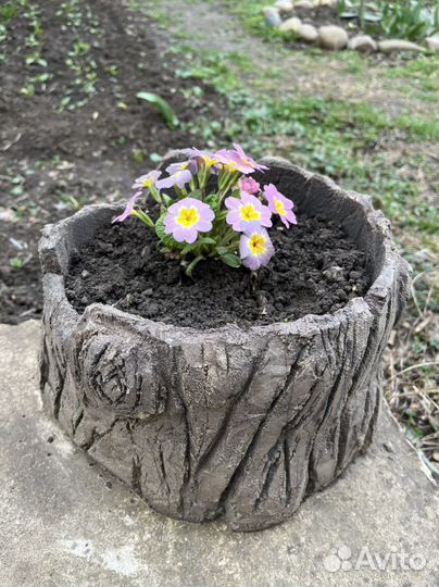 Кашпо для цветов из бетона