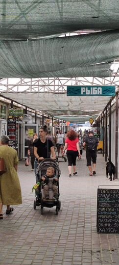 Мегатрафик. Магазин/Общепит на пр Победы, 24 м²