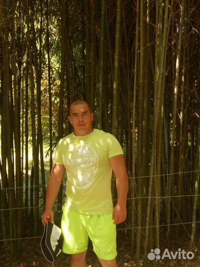 Водитель по вывозке леса с гидроманипулятором