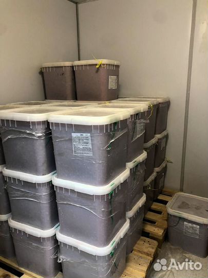 Икра Кеты опт