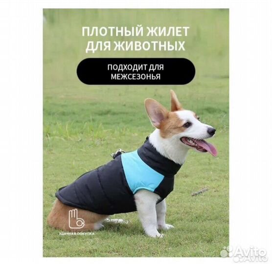 Жилет для собак