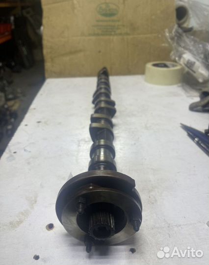 Впускной распредвал бмв м52 м54