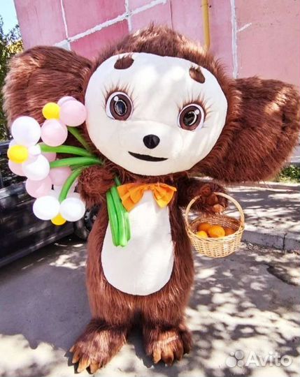 Чебураша, Белый мишка, Кошка. Поздравление