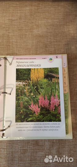 Сад моей мечты