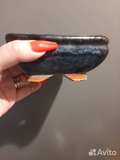 Бонсайница на ножках