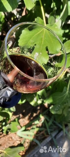 Сок виноградный домашний