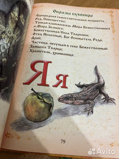 Буквица Древне- словянские образы письма