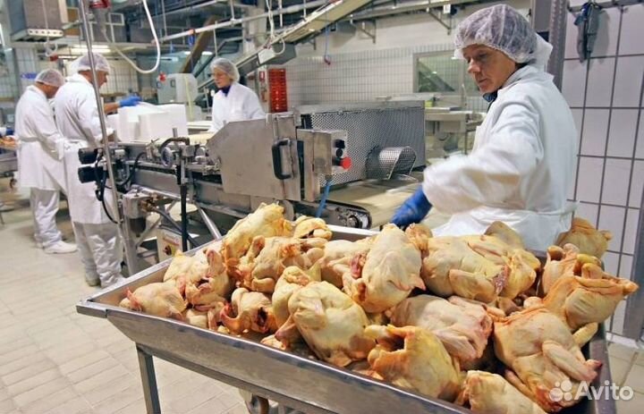 Разнорабочий с ежедневной оплатой