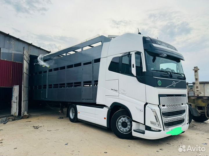 Скотовоз 17 метров Перевозка скота Мрс,Крс,Лошадей