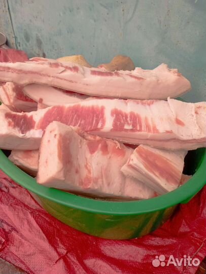 Сало домашнее свежее