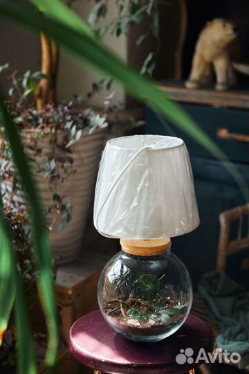 Настольная лампа с флорариумом