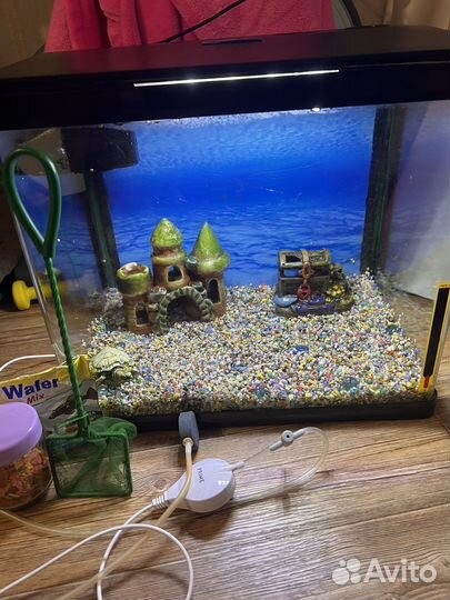 Аквариум