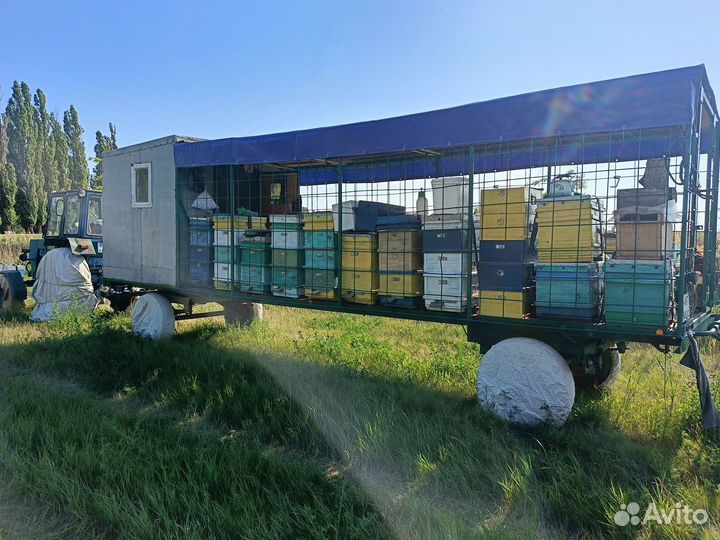 Продаëтся пасека