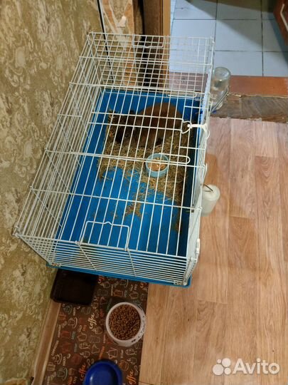 Клетка для грызунов большая