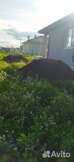 Кампост из под шампиньонов. Перегной коровий