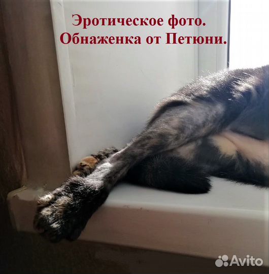 Петюня - красотюня