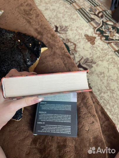 Книга бегущий за ветром