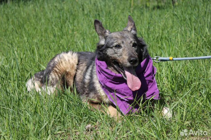 Она видела только равнодушие и боль, спаси ее