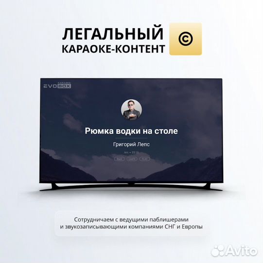 Караоке Evobox + микрофоны
