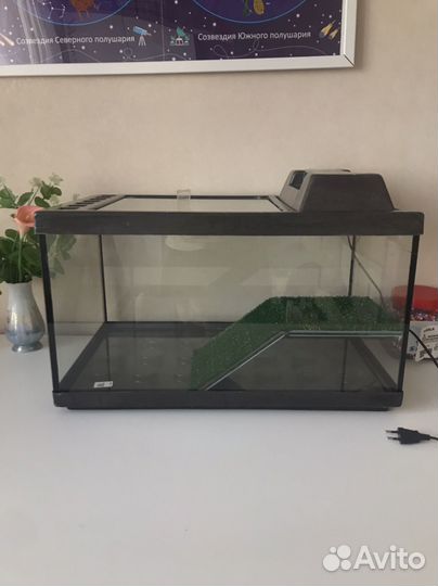 Трарриум для черепахи