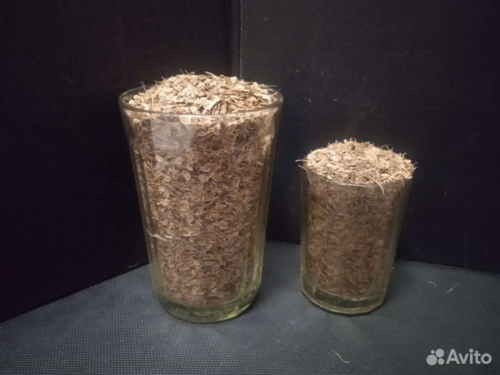 Семена укроп