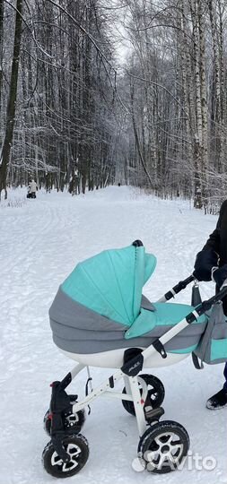 Коляска 3 в 1 Adamex Barletta ECO