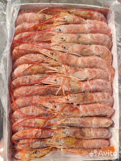 Лангустин свежемороженый.2 кг коробка