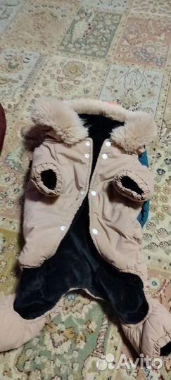 Зимняя куртка для собак