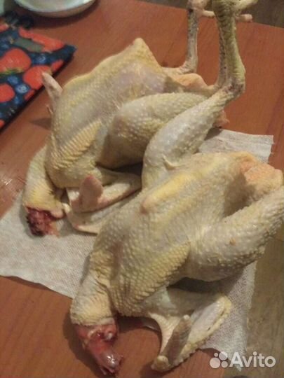 Кура домашняя на бульон, суповая