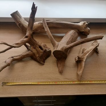 Продам корягу в аквариум