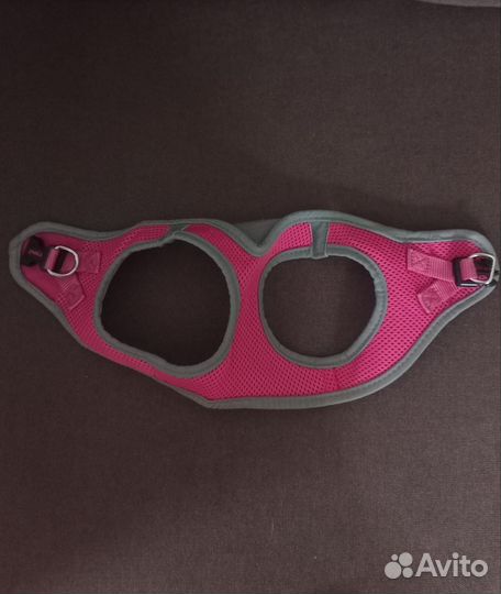 Шлейка для маленькой собаки