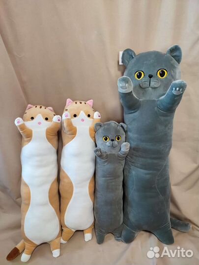 Коты обнимашки Британцы, новые