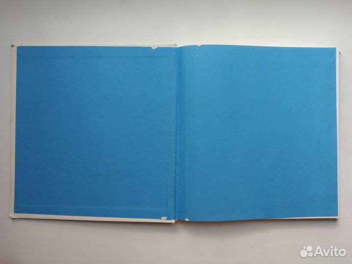 Книга Белоцерковский 