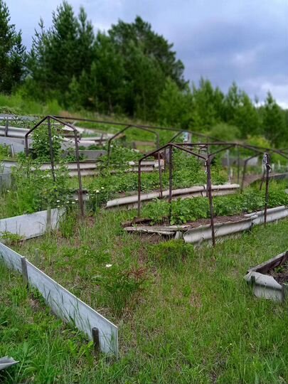 Участок 11,6 сот. (СНТ, ДНП)