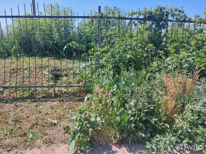 Покос травы триммером