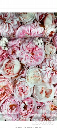 Совместная закупка тканей