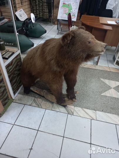 Чучело медведя имитация