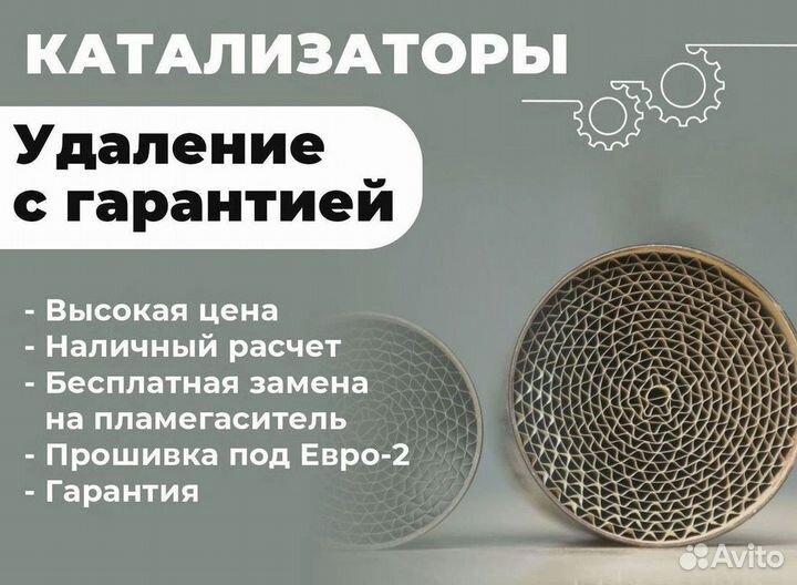 Удаление катализатора бесплатно/ чип тюнинг евро 2