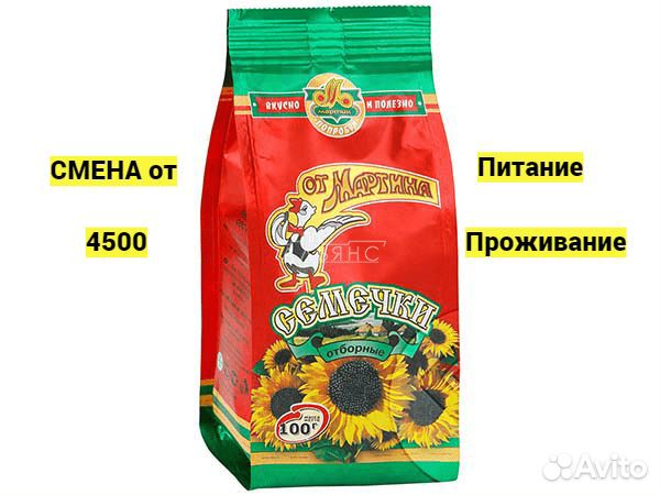 Сканировщик Семечек. Вахта Москва 15/30 Проживание