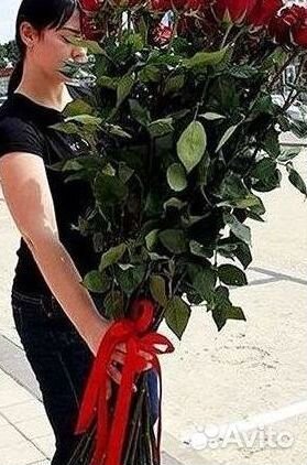 Высокие розы Гигантские розы Доставка цветов