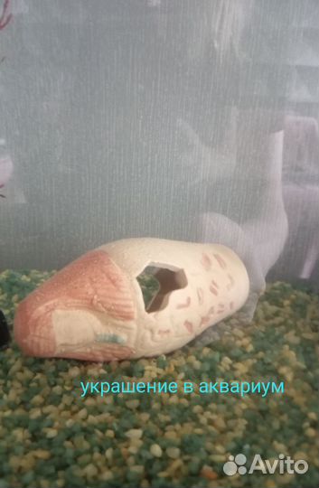 Аквариумные принадлежности