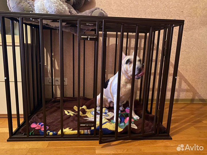 Клетка антивандальная