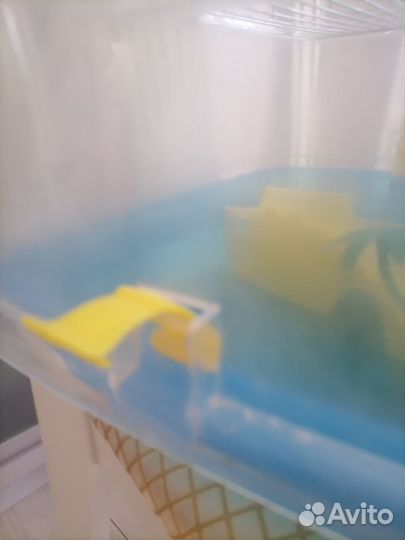 Террариум для улиток, черепашки