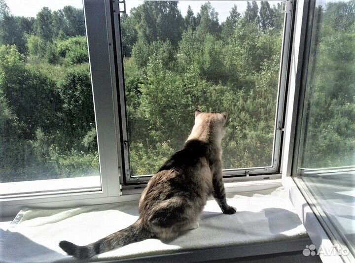 Москитная сетка на балкон антикошка