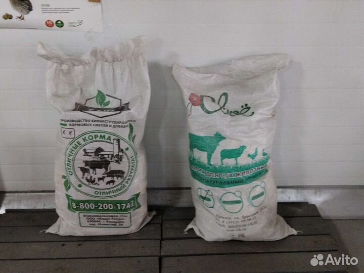 Пшеница, ячмень, овес